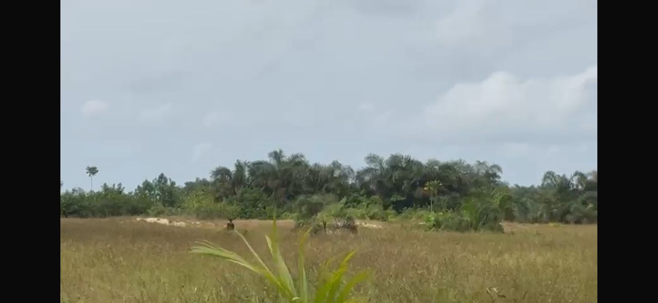 APENA COMMUNITY