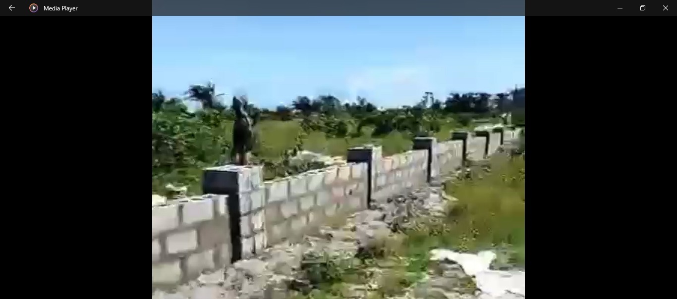 PENINSULA VIEW ESTATE